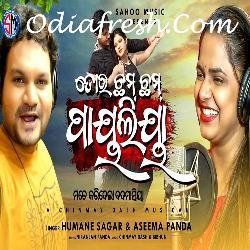 Tora Chham Chham Payaliya